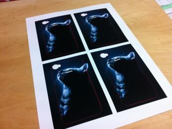 20120122_mucase_004