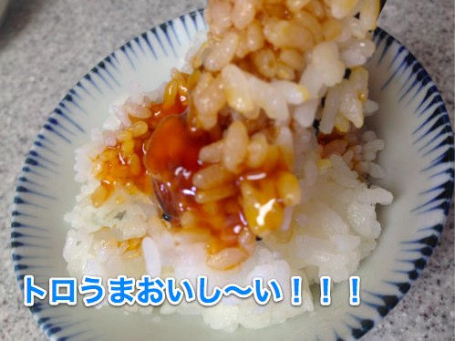 2013-05-25 ご飯