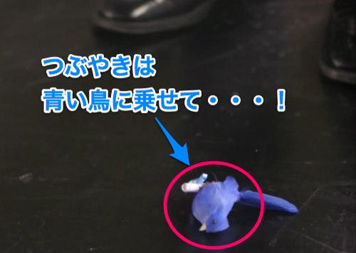 2013-07-17 青い鳥