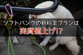 20140202_weekly_002