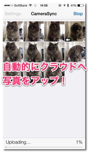 09ff3d2c