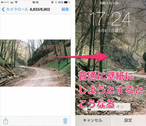 心に強く訴えるiphone 壁紙 横長 美しい花の画像