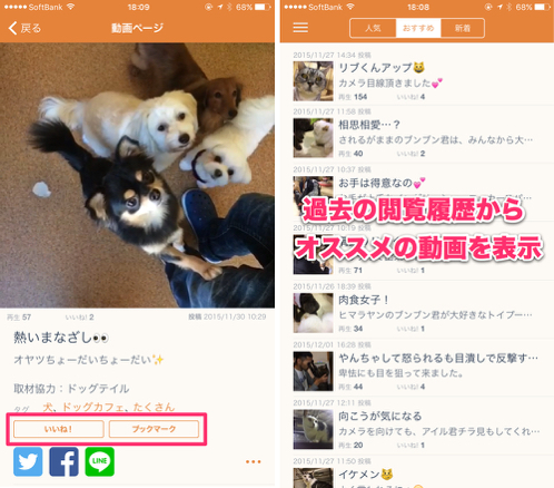 い 癒されるぅうう ペット好きには堪らないイヌネコ見放題のアプリ Mofur が登場 カミアプ Appleのニュースやit系の情報をお届け
