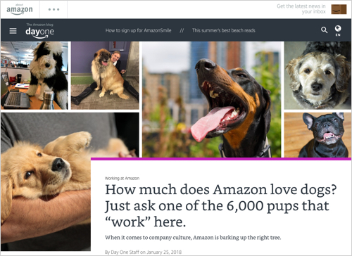 Amazonプライムデー 開催中のamazon エラー画面で表示される犬に意外な秘密が カミアプ Appleのニュースやit系の情報をお届け