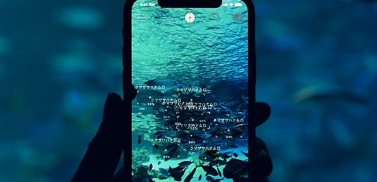 Ai図鑑アプリ Linne Lens がすごい スマホをかざすと水中生物の名前を瞬時に表示 カミアプ Appleのニュースやit系の情報をお届け