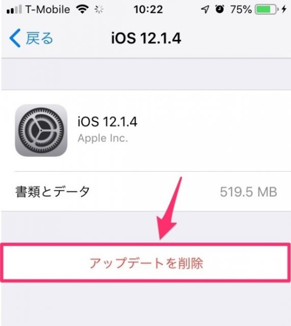 しつこいiphoneのiosアプデートの通知を消す方法 カミアプ Appleのニュースやit系の情報をお届け