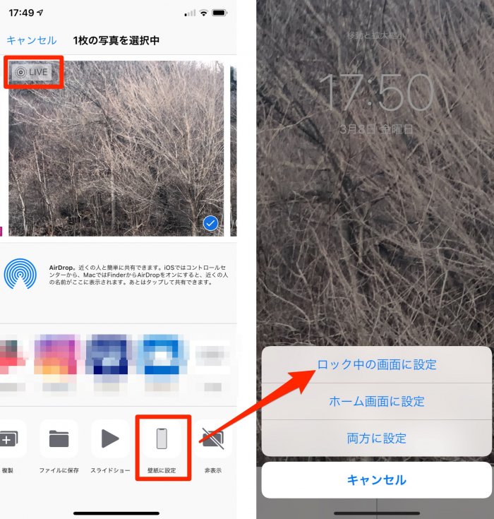 豆知識 Livephotosを壁紙にするとヌルヌル動くぞ カミアプ Appleのニュースやit系の情報をお届け