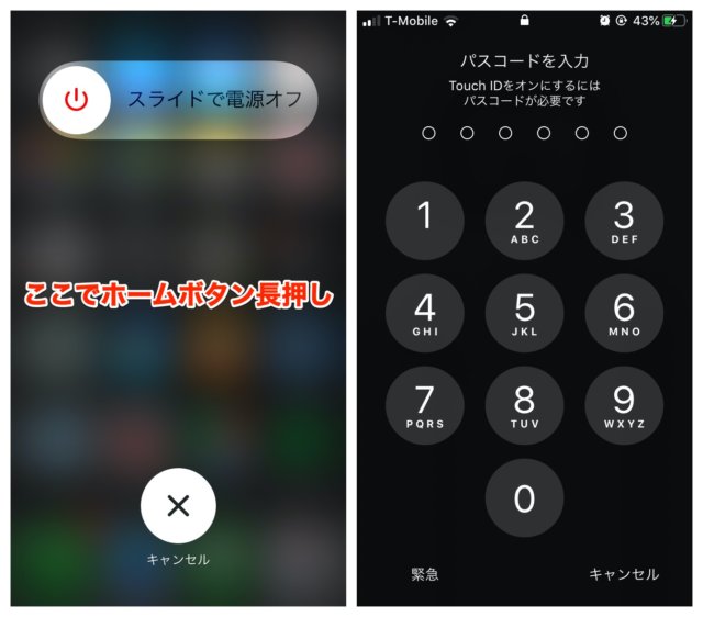 Iphoneのカメラがおかしい 正常に機能しない症状が多数報告 一時的な対処法を紹介 カミアプ Appleのニュースやit系の情報をお届け